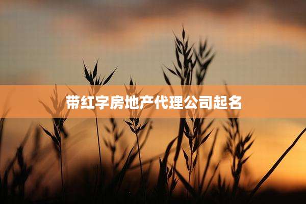带红字房地产代理公司起名