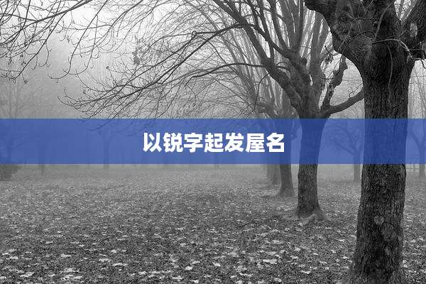 以锐字起发屋名