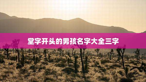 堂字开头的男孩名字大全三字