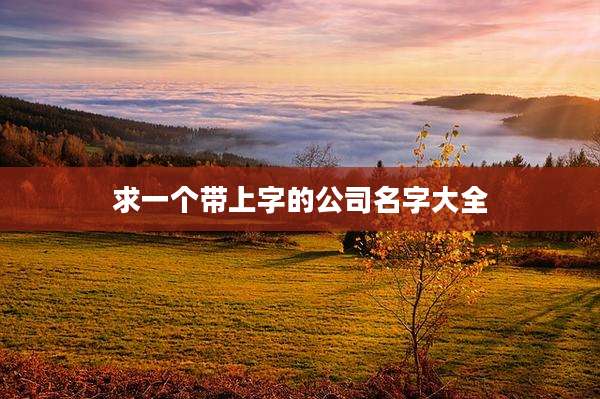 求一个带上字的公司名字大全