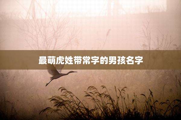最萌虎姓带常字的男孩名字
