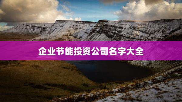 企业节能投资公司名字大全