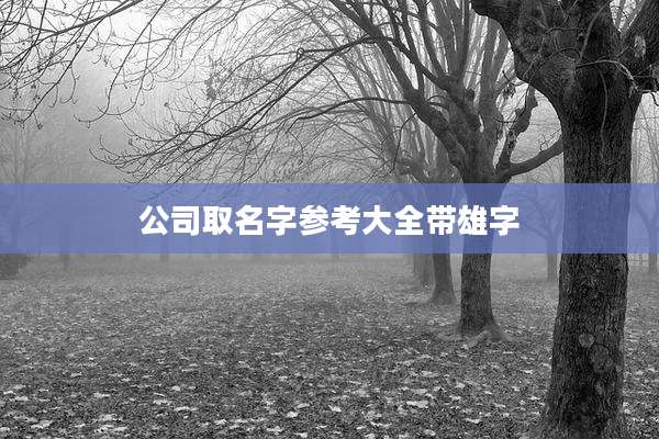 公司取名字参考大全带雄字