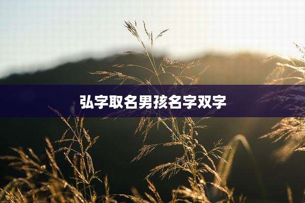 弘字取名男孩名字双字
