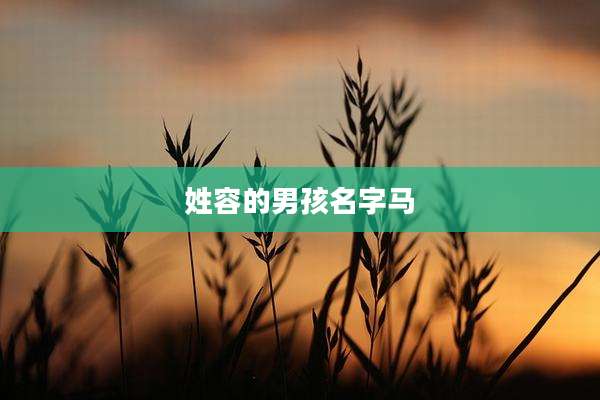 姓容的男孩名字马