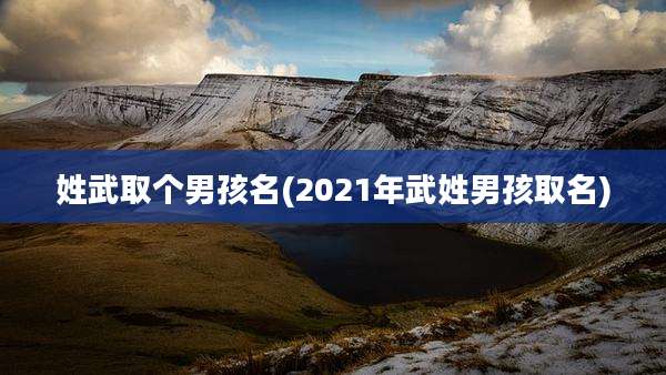 姓武取个男孩名(2021年武姓男孩取名)
