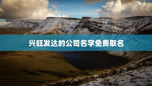 兴旺发达的公司名字免费取名