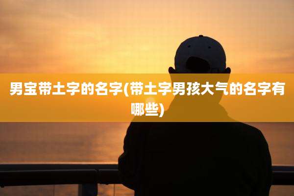 男宝带土字的名字(带土字男孩大气的名字有哪些)