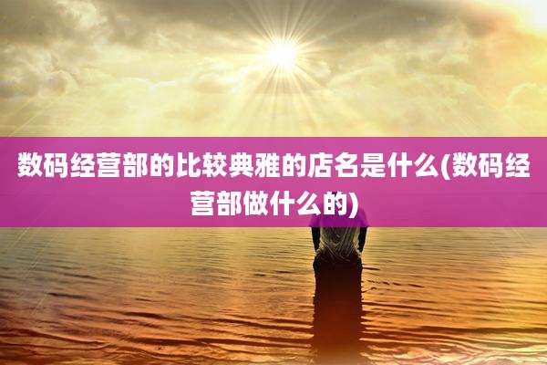 数码经营部的比较典雅的店名是什么(数码经营部做什么的)