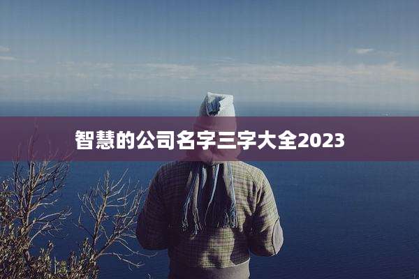智慧的公司名字三字大全2023