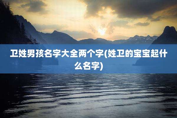 卫姓男孩名字大全两个字(姓卫的宝宝起什么名字)