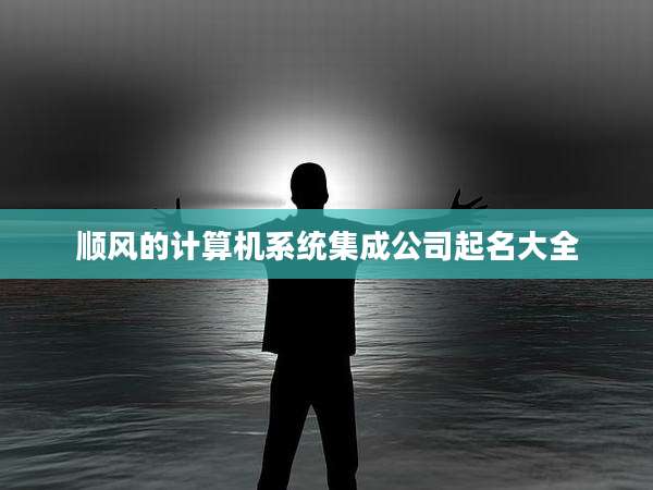 顺风的计算机系统集成公司起名大全