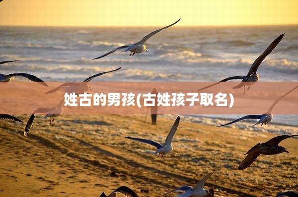 姓古的男孩(古姓孩子取名)
