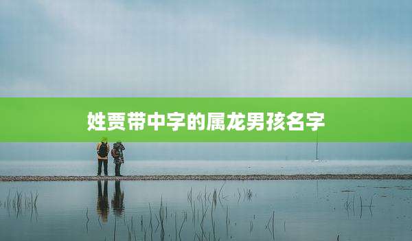 姓贾带中字的属龙男孩名字