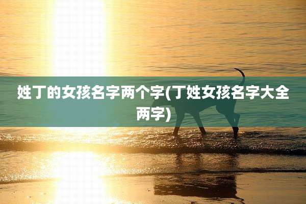 姓丁的女孩名字两个字(丁姓女孩名字大全两字)