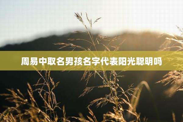 周易中取名男孩名字代表阳光聪明吗
