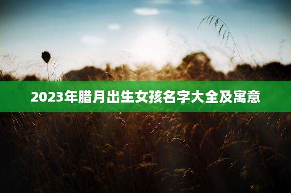 2023年腊月出生女孩名字大全及寓意