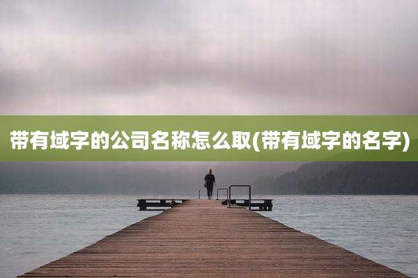 带有域字的公司名称怎么取(带有域字的名字)