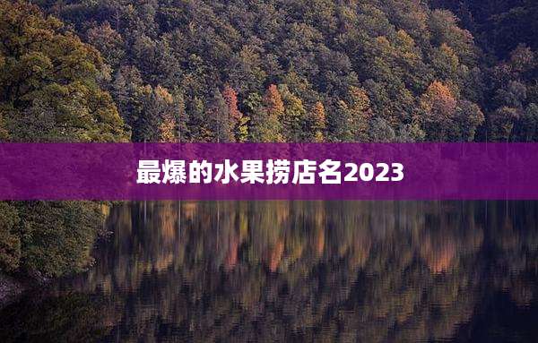 最爆的水果捞店名2023