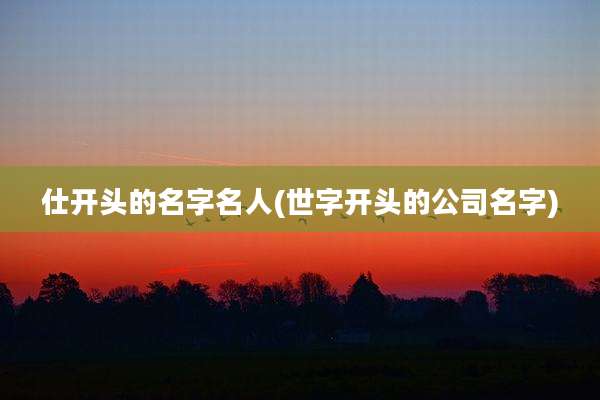 仕开头的名字名人(世字开头的公司名字)