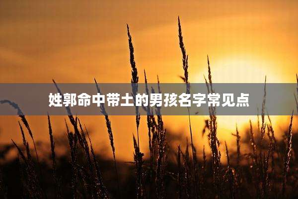 姓郭命中带土的男孩名字常见点