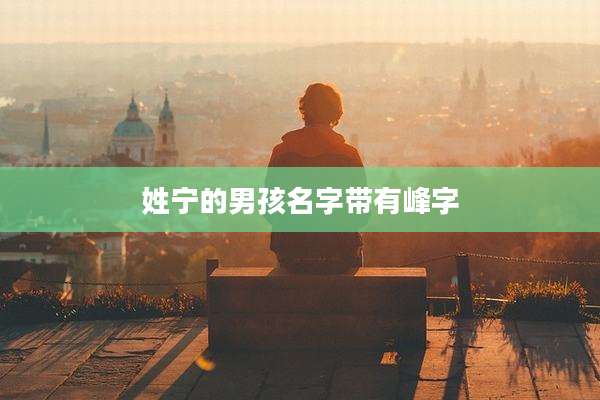 姓宁的男孩名字带有峰字