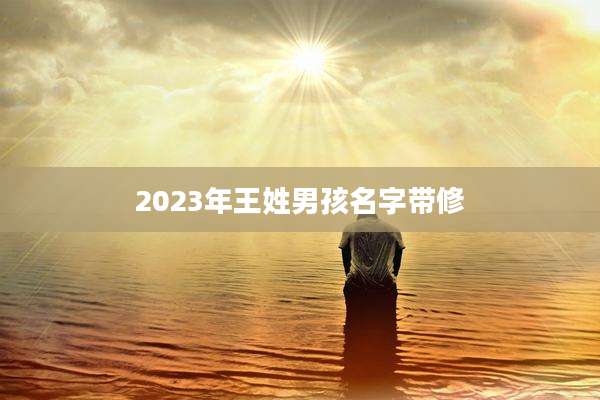 2023年王姓男孩名字带修