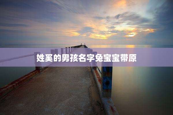 姓奚的男孩名字兔宝宝带原