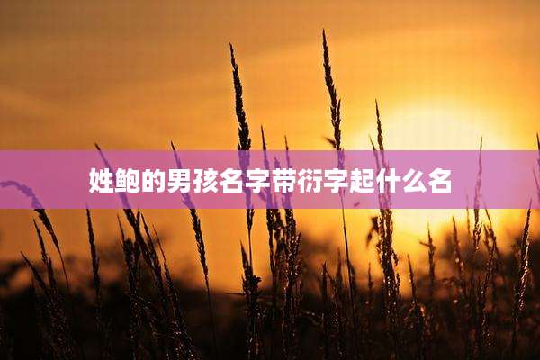 姓鲍的男孩名字带衍字起什么名