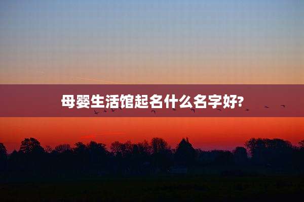 母婴生活馆起名什么名字好?