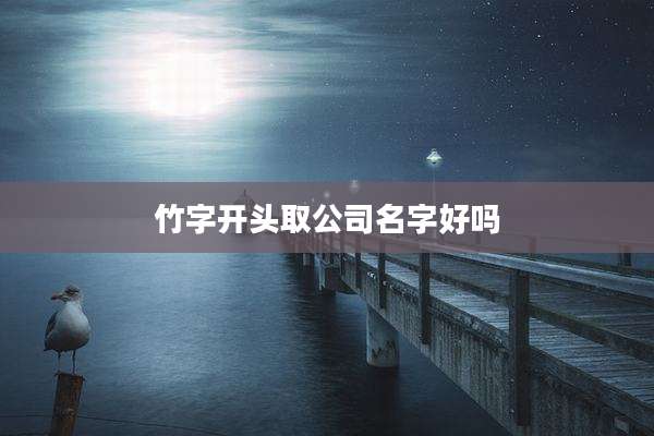 竹字开头取公司名字好吗
