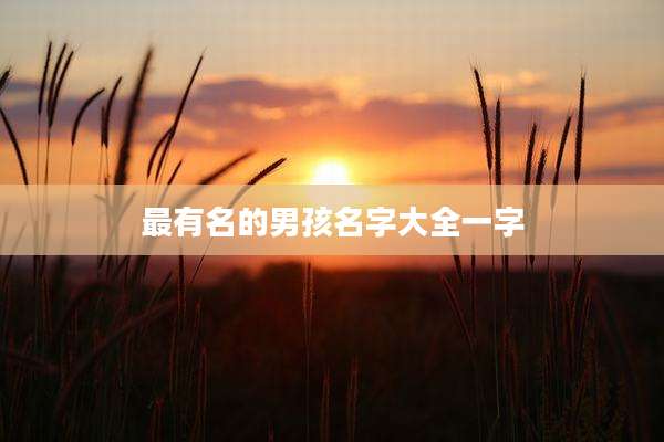 最有名的男孩名字大全一字