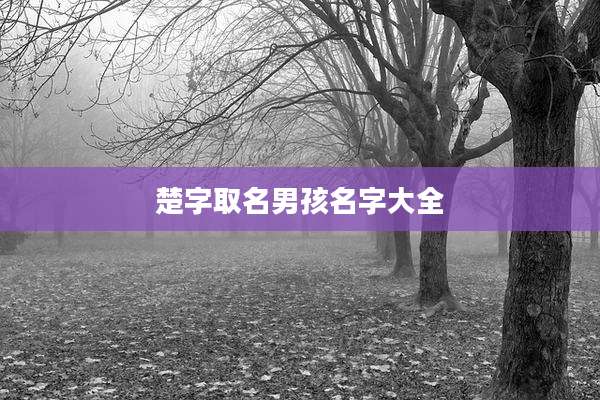 楚字取名男孩名字大全
