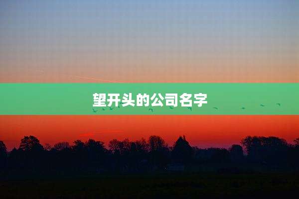望开头的公司名字