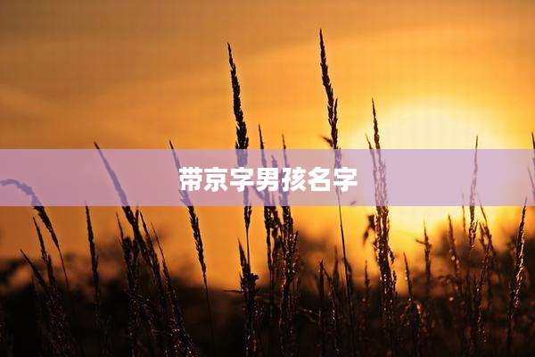 带京字男孩名字