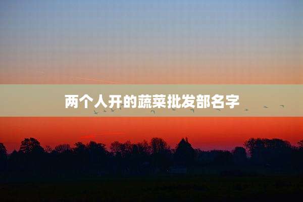 两个人开的蔬菜批发部名字