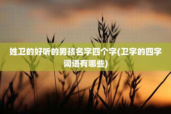 姓卫的好听的男孩名字四个字(卫字的四字词语有哪些)