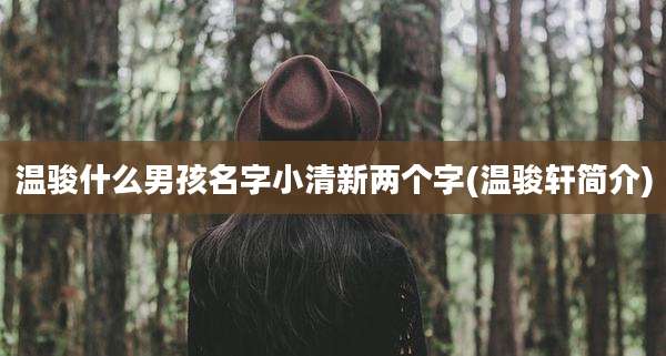 温骏什么男孩名字小清新两个字(温骏轩简介)