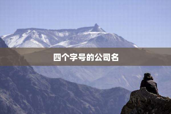 四个字号的公司名