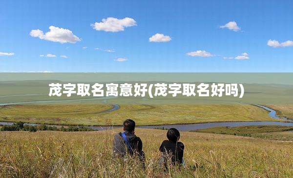 茂字取名寓意好(茂字取名好吗)