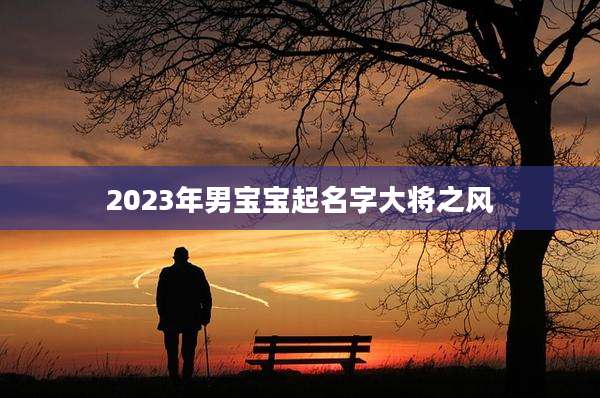 2023年男宝宝起名字大将之风