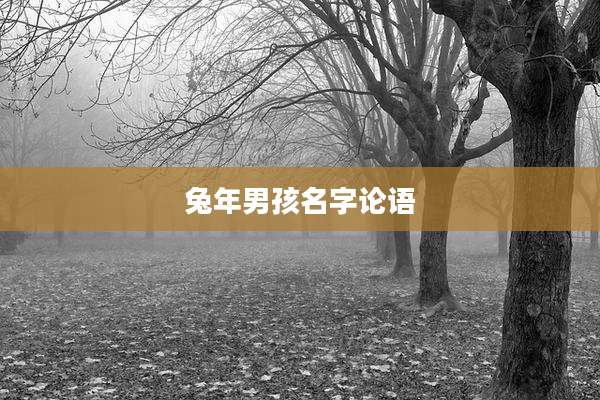 兔年男孩名字论语