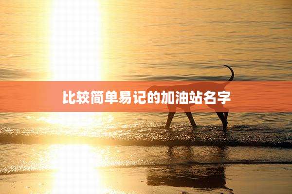 比较简单易记的加油站名字