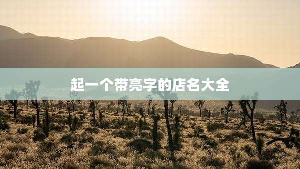 起一个带亮字的店名大全