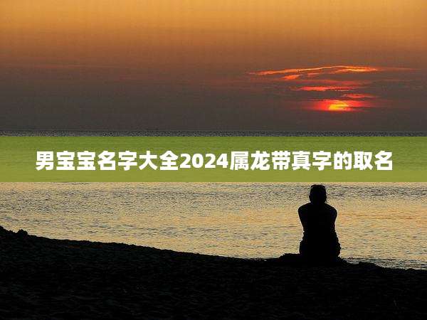 男宝宝名字大全2024属龙带真字的取名