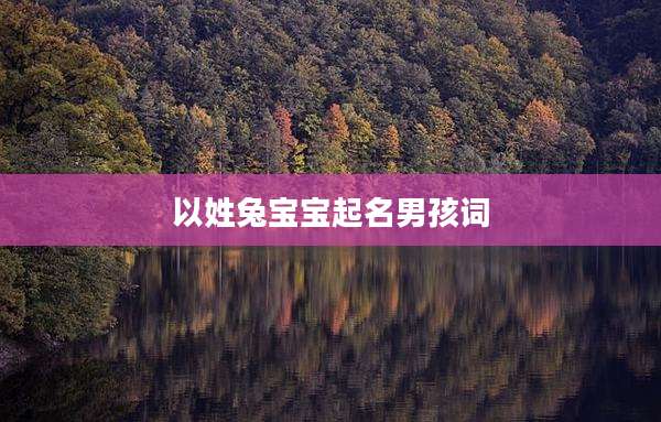 以姓兔宝宝起名男孩词
