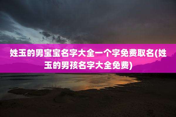 姓玉的男宝宝名字大全一个字免费取名(姓玉的男孩名字大全免费)
