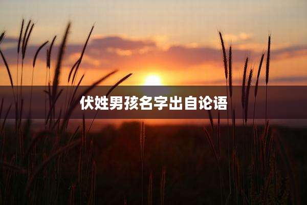 伏姓男孩名字出自论语