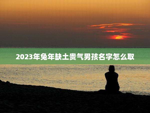 2023年兔年缺土贵气男孩名字怎么取