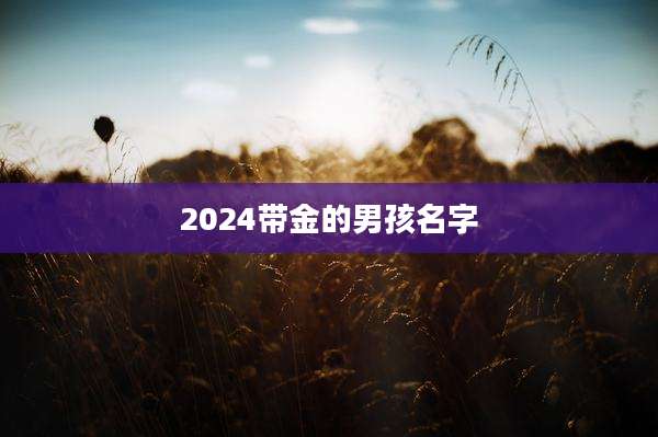 2024带金的男孩名字
